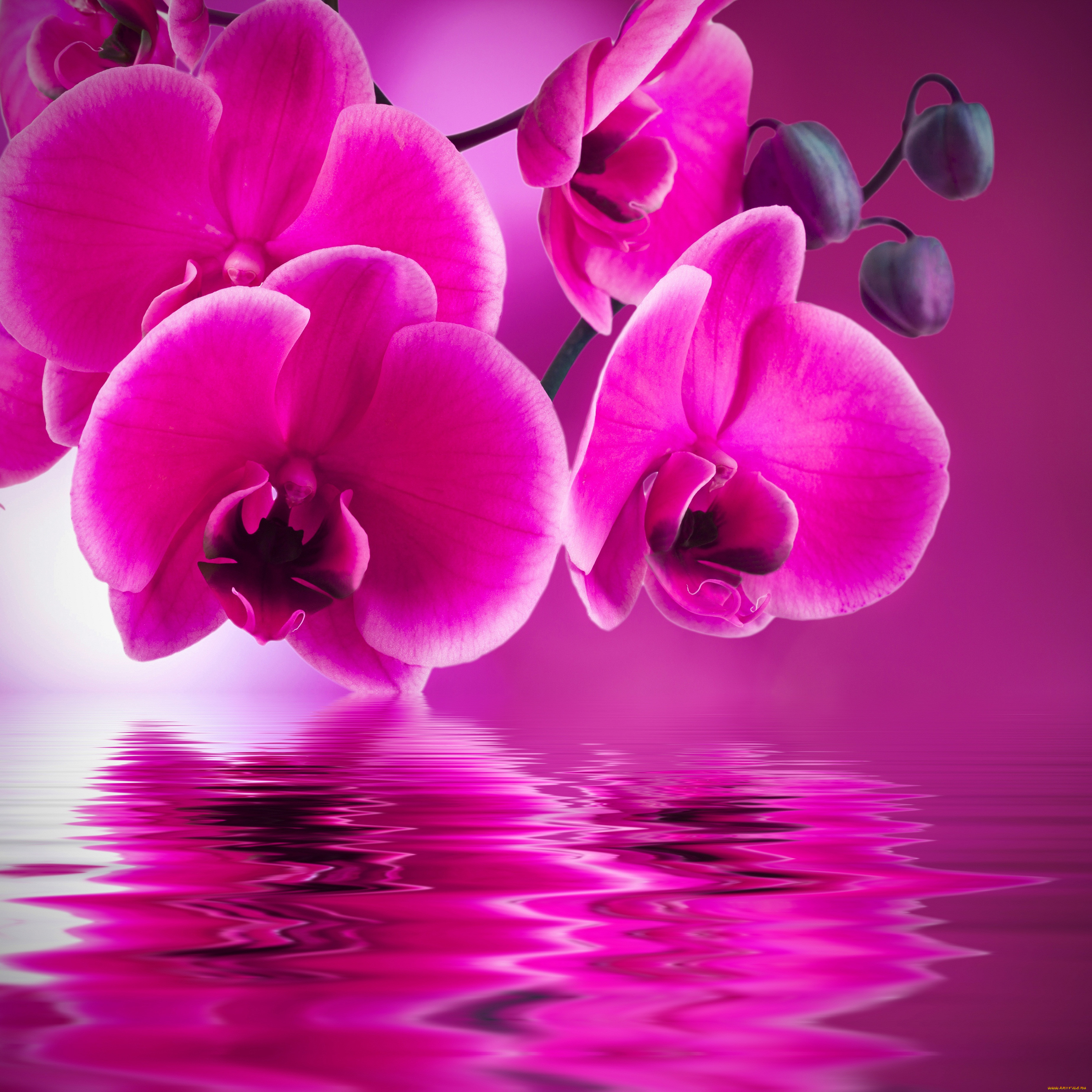 , , , , , 